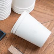 Imagen de VASO BLANCO x20