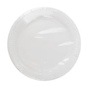 Imagen de PLATO BLANCO GRANDE 20 PZAS