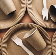 Imagen para la categoría Eco