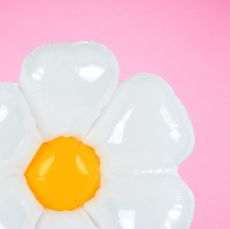 Imagen para la categoría Flores