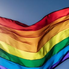 Imagen para la categoría Pride